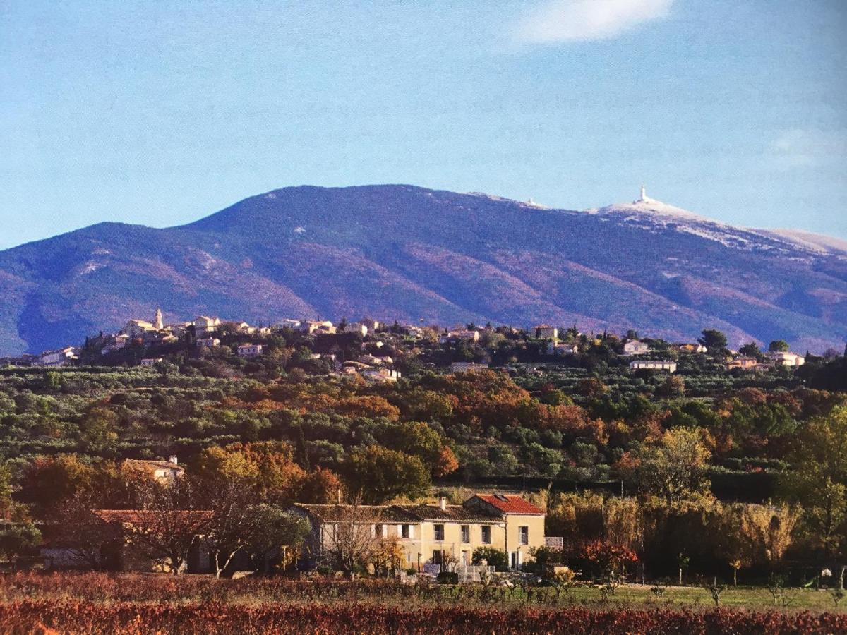 Gite En Provence "Rose" Modene Exterior photo